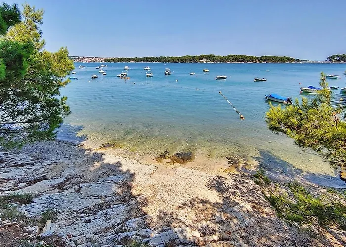 Mobile Home- Fish Huts And Orange Huts *